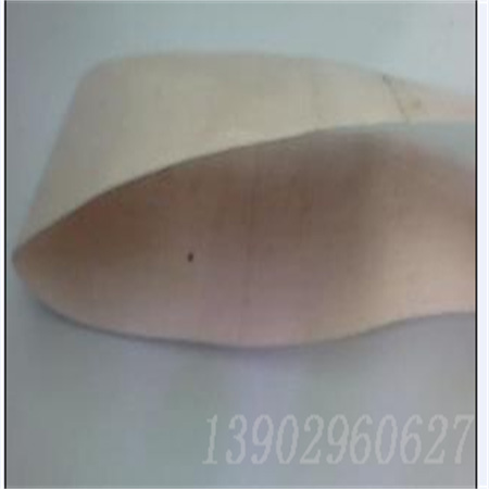 帶式撈油機吸油帶