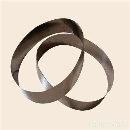 帶式不銹鋼刮油帶